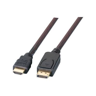 ENTER-WEB Cable DisplayPort male vers HDMI femelle 2M